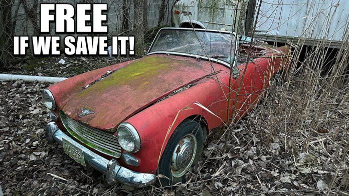 Austin Healy Sprite