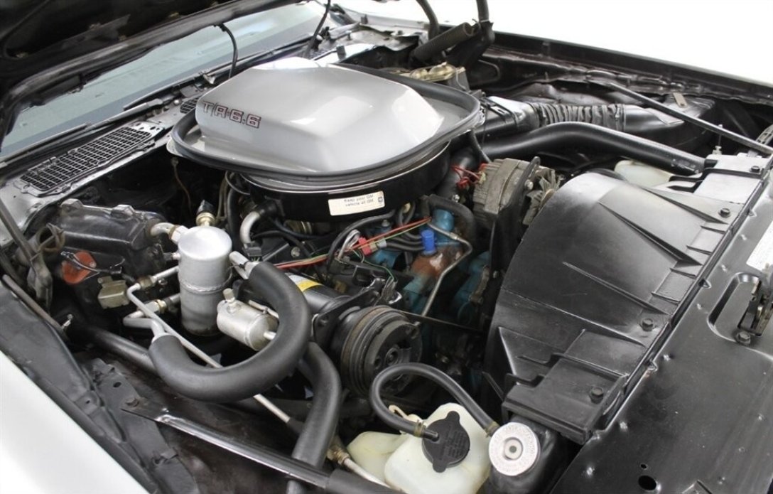 Pontiac Firebird Trans Am