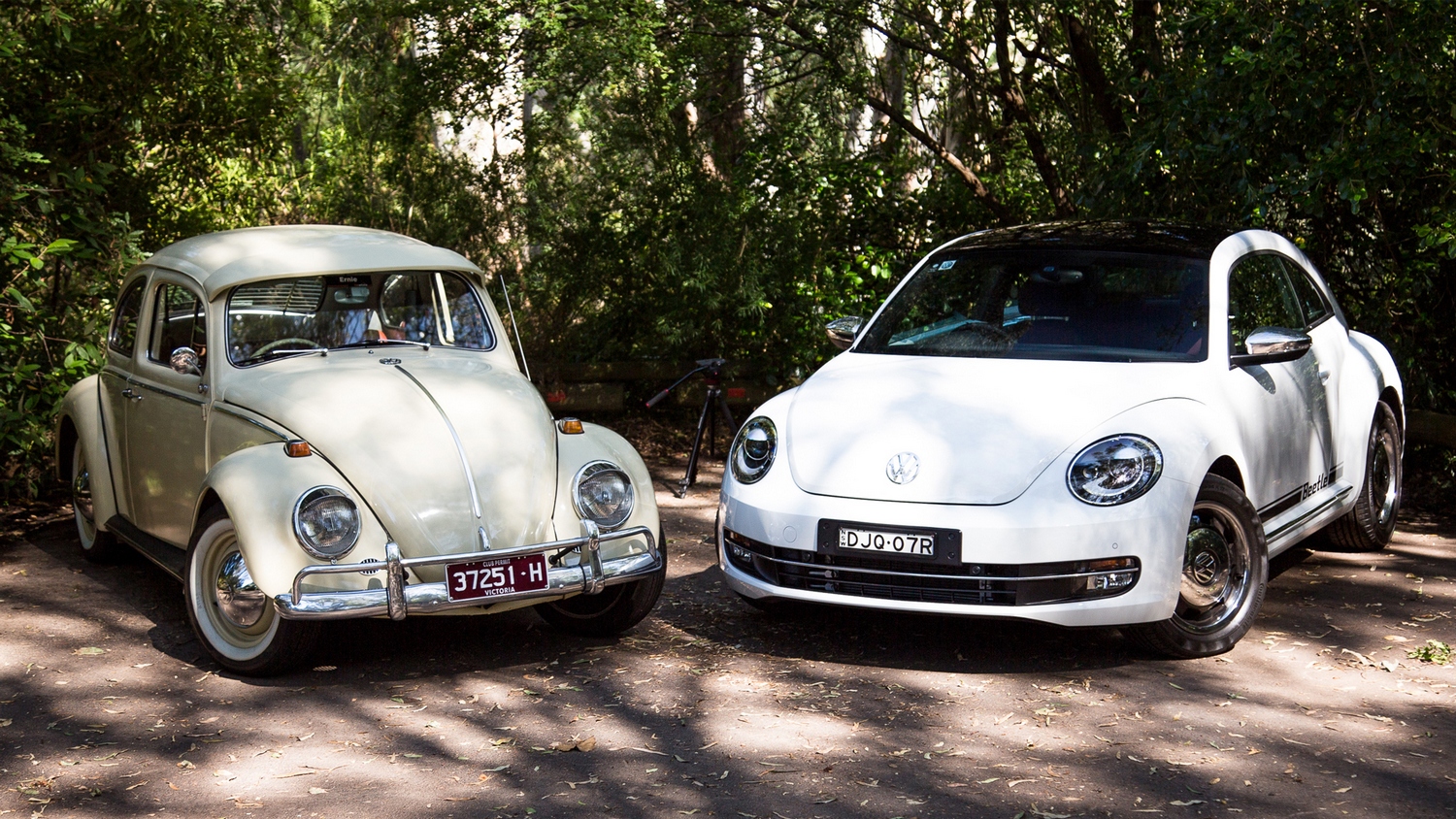  Volkswagen Beetle