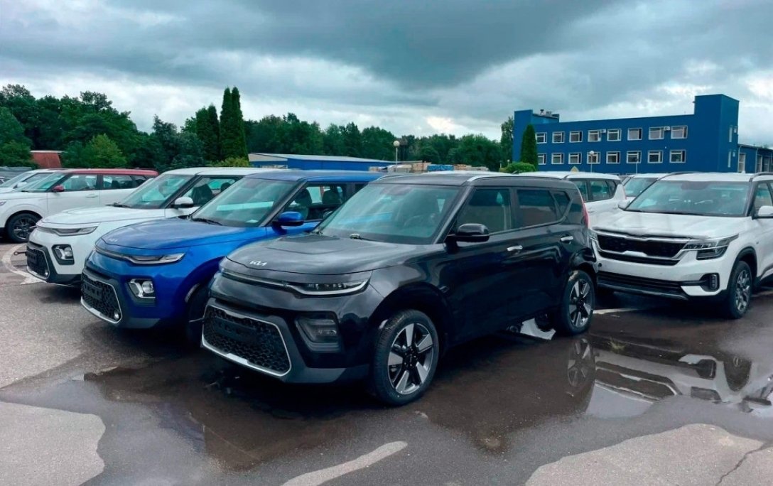 Сотні недозібраних Kia: в росії знайшли стоянку автомобілів підприємтсва "Автотор"