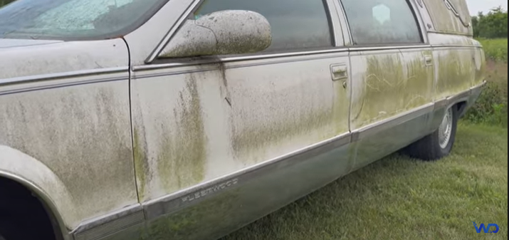 Покинутий катафалк: Cadillac Hearse 15 років стояв в полі