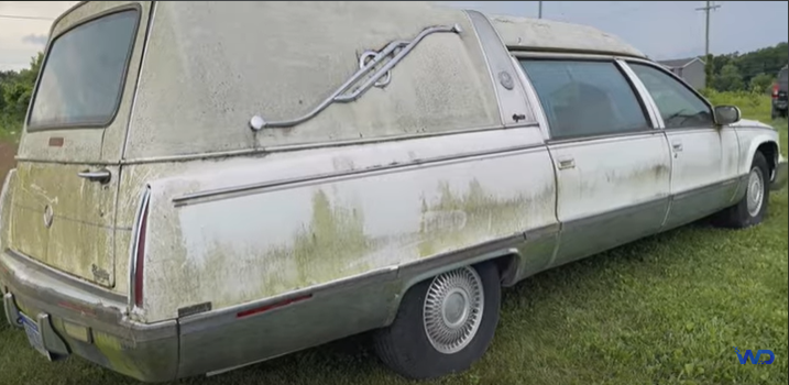 Покинутий катафалк: Cadillac Hearse 15 років стояв в полі