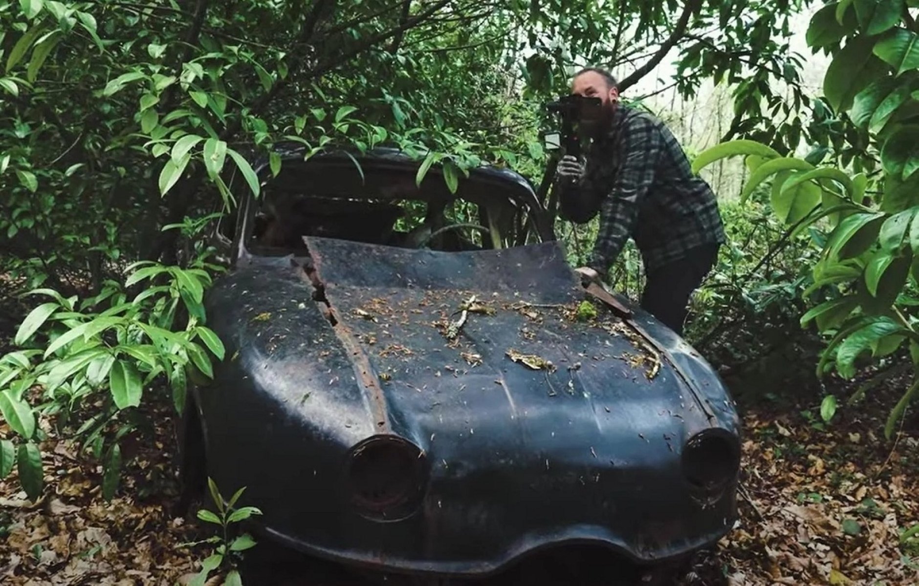 Сталеві «гриби»: в лісі знайдено 50 раритетних автомобілів 60-х років