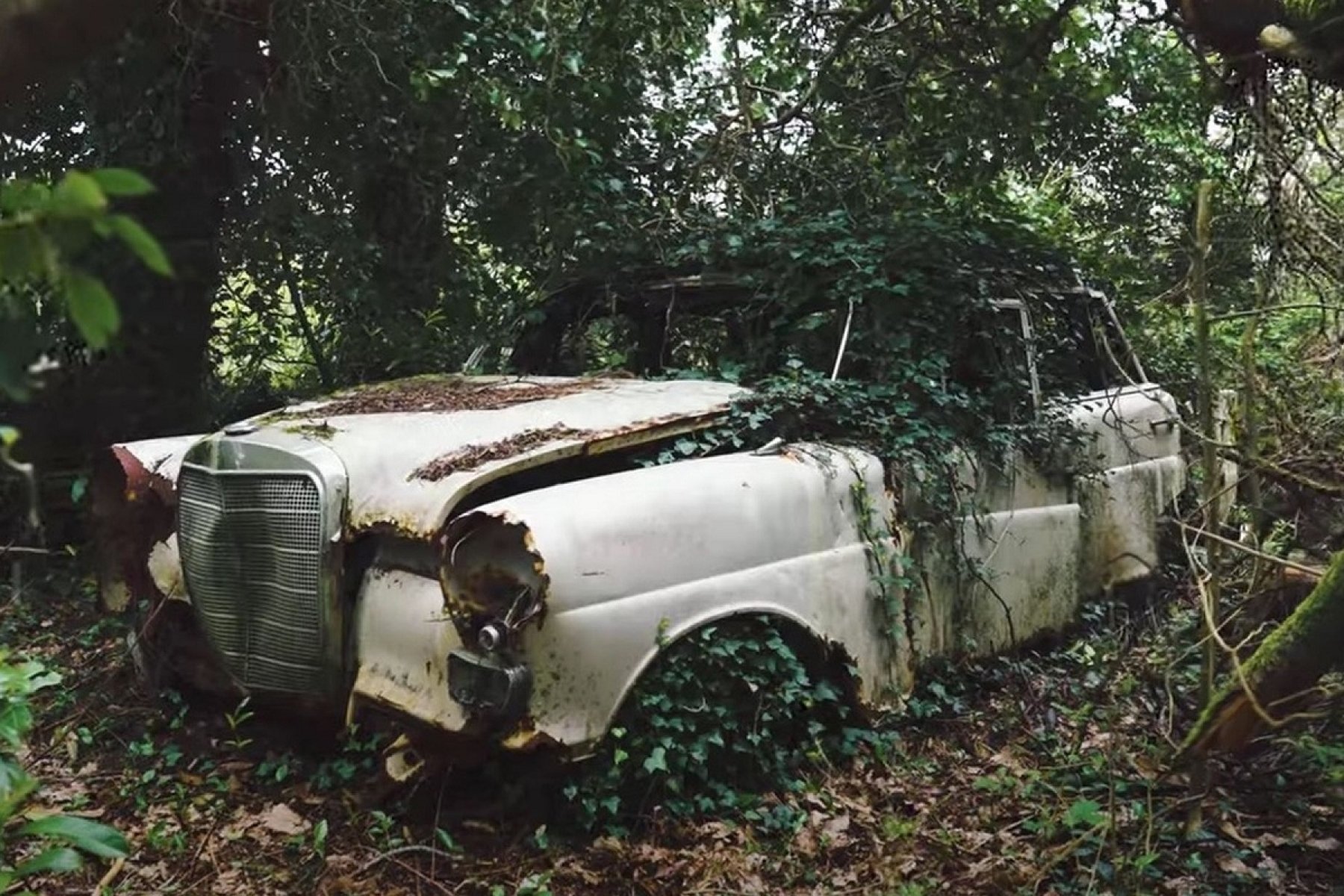 Сталеві «гриби»: в лісі знайдено 50 раритетних автомобілів 60-х років
