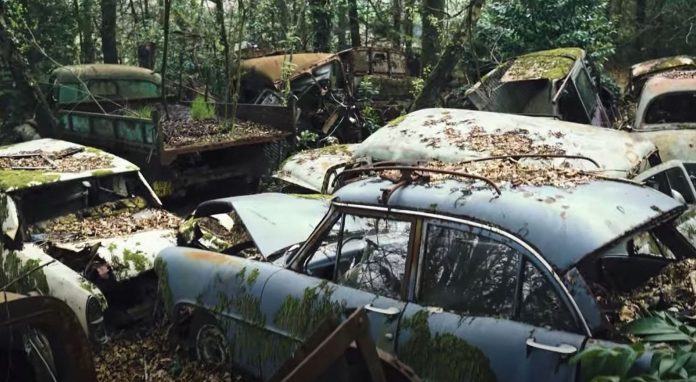 Сталеві «гриби»: в лісі знайдено 50 раритетних автомобілів 60-х років