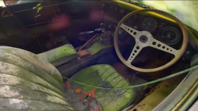 Jaguar та Jensen-Healey 45 років стояли на покинутому подвір’ї: знайдено рідкісну колекцію автомобілів