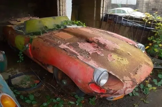 Jaguar та Jensen-Healey 45 років стояли на покинутому подвір’ї: знайдено рідкісну колекцію автомобілів 