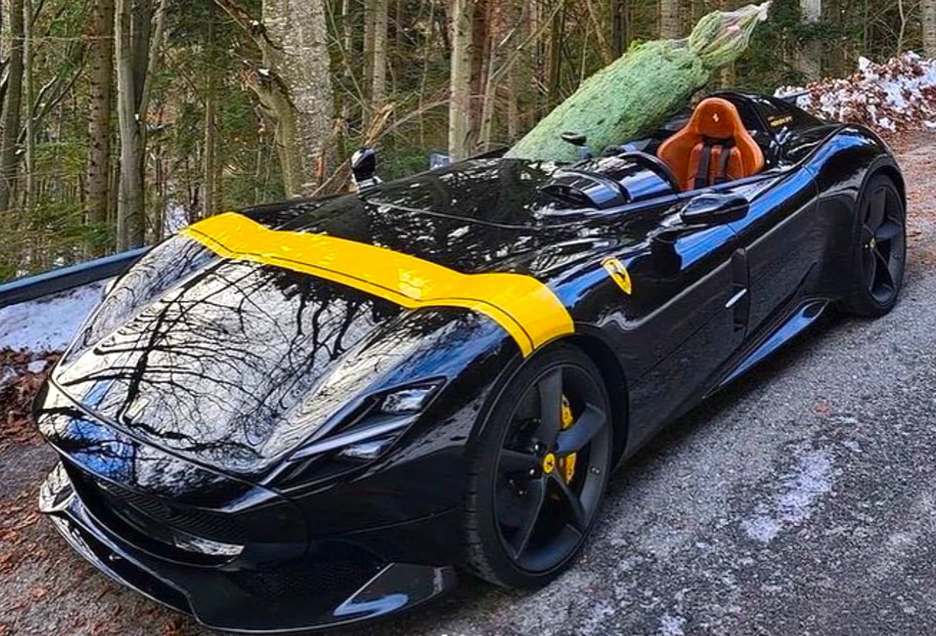 Фото дня: власник Ferrari за 48 000 000 грн везе різдвяну ялинку на пасажирському кріслі