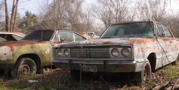 Покинуті раритети: знайдено галявину із рідкісними спорткарами 60-х років Покинуті раритети: знайдено галявину із рідкісними спорткарами 60-х років