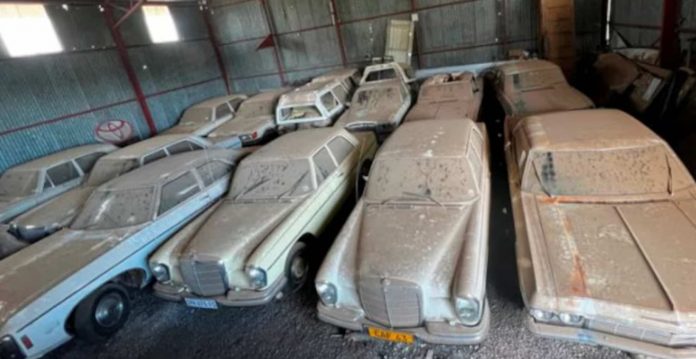 В Африці випадково знайшли забуту на десятиліття колекцію Mercedes-Benz із 60-х і 70-х