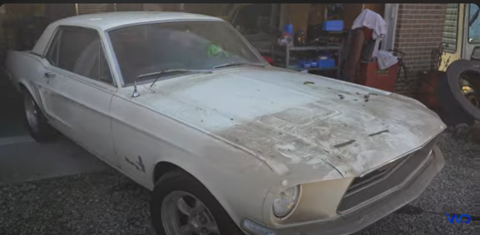 Знайшли серед мотлоху: старенький Ford Mustang першого покоління відновили після 18 років простою