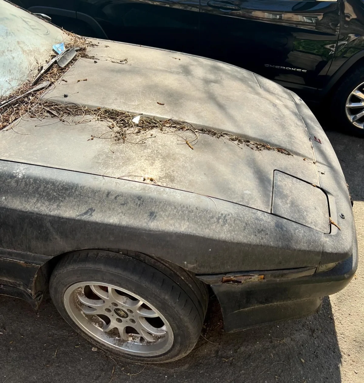 Покритий брудом та пилом раритет: в Одесі просто неба знайшли Toyota Supra 1986 року
