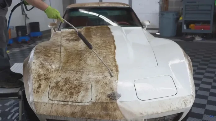 Chevrolet Corvette С3 1978 року вперше привезли на автомийку: як відновлювали майже 50-річний спорткар