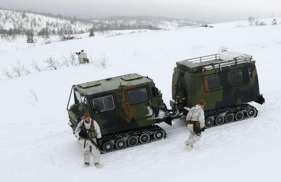Зчленовані всюдиходи Bandvagn 206 (BV-206)