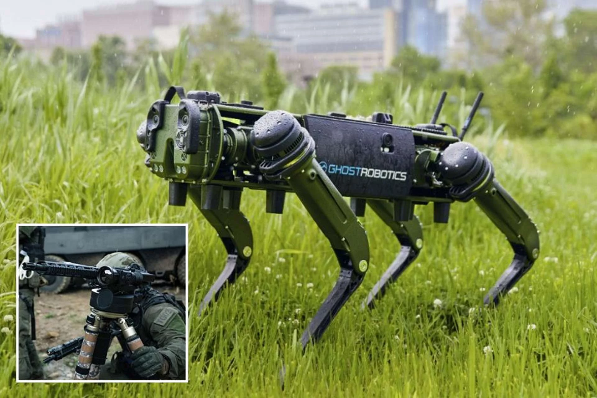 Модель собаки-робота, яку використовує MARSOC