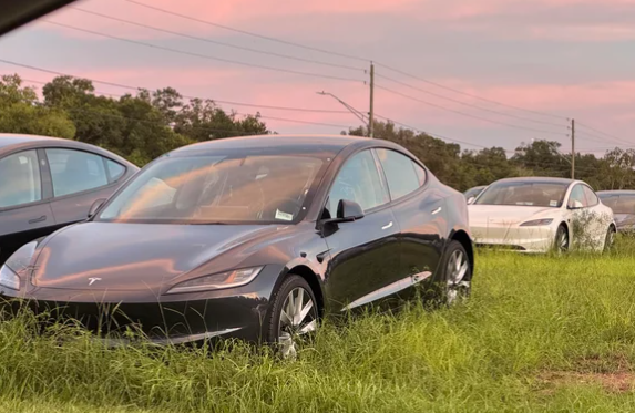 Гріються на сонечку: посеред поля знайшли стоянку електрокарів Tesla Model 3