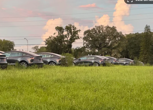 Гріються на сонечку: посеред поля знайшли стоянку електрокарів Tesla Model 3