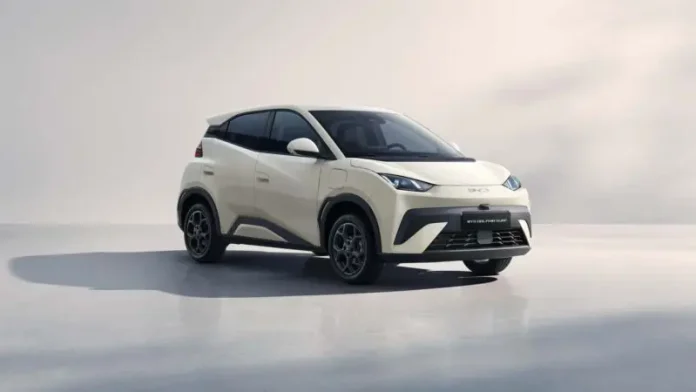 BYD Dolphin Surf