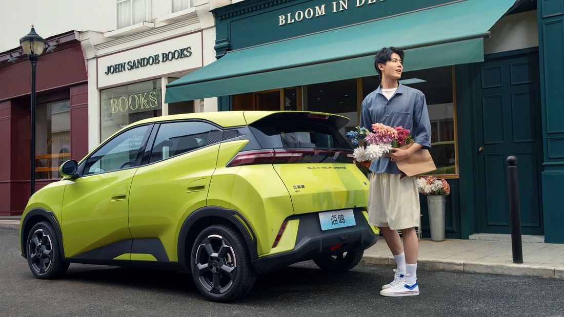BYD Dolphin Surf