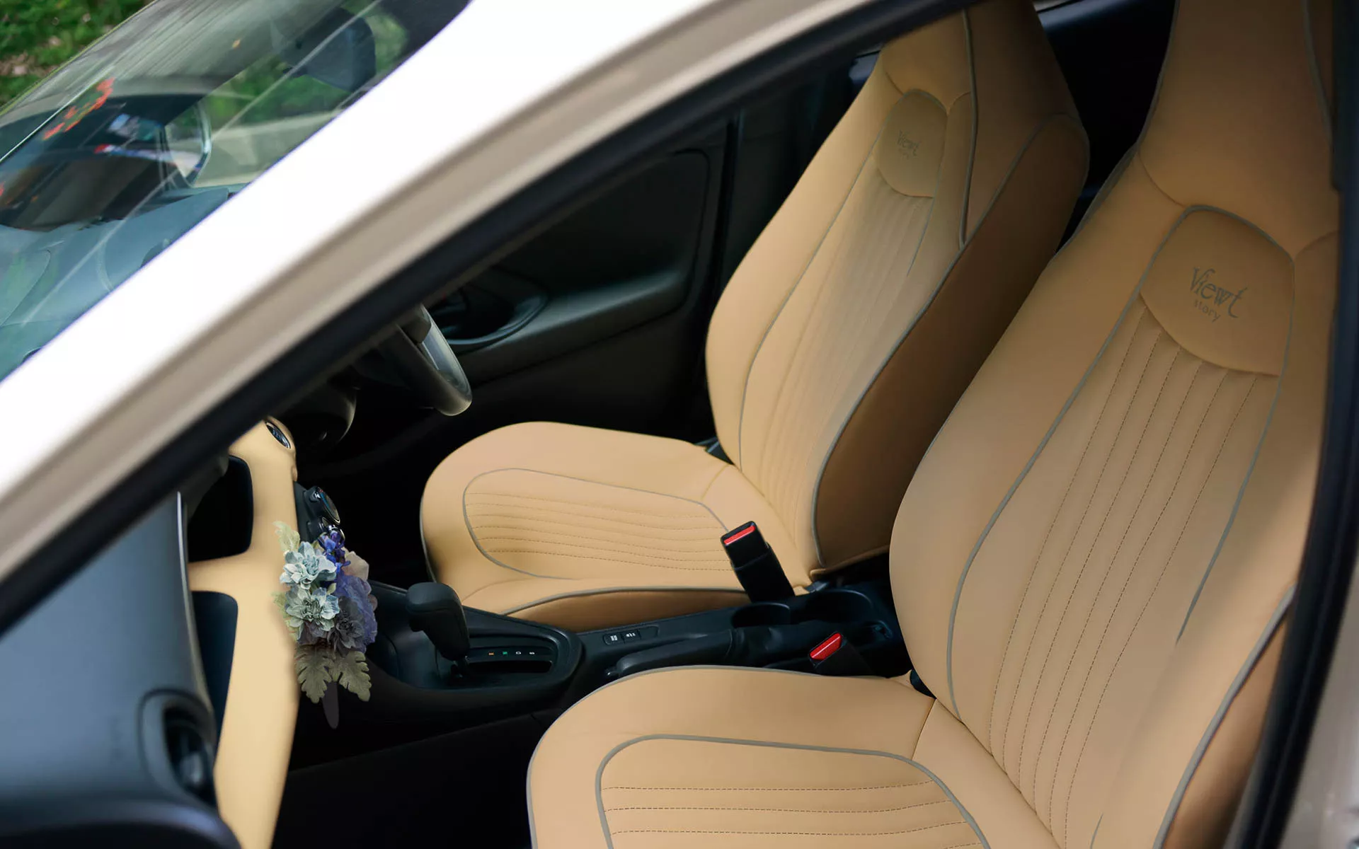 Mitsuoka Viewt Royal Edition