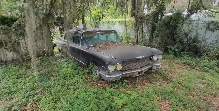 Рідкісні лімузини Cadillac Fleetwood 75 іржавіють на подвір'ї старого маєтку в США