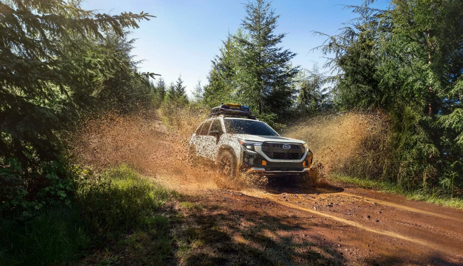 Subaru Forester Wilderness (2026) подорожчав і став прохіднішим