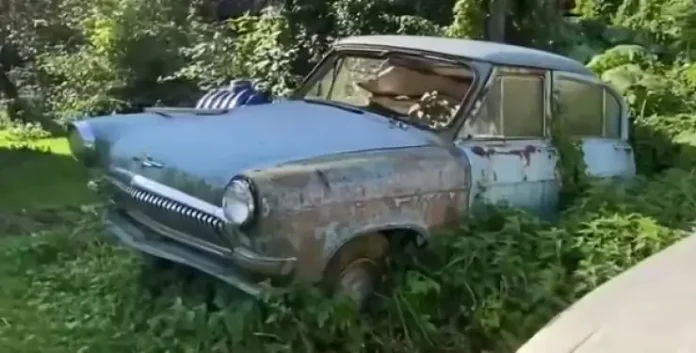 Кинуті радянські авто гниють просто неба на Закарпатті