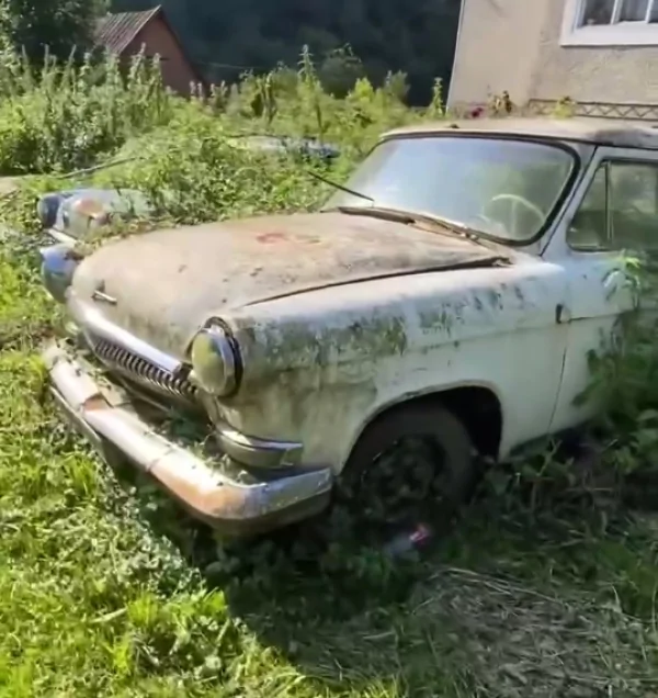 Кинуті радянські авто гниють просто неба на Закарпатті
