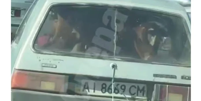 В Київській області помітили 