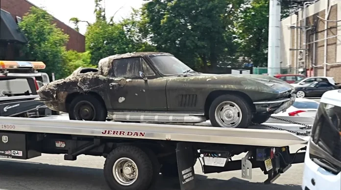 Фенікс із попелу: як обгоріла Фенікс із попелу: як обгоріла