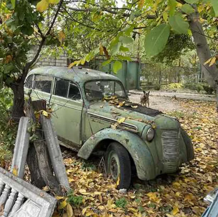 У Дніпрі виявили приватну колекцію радянських авто: десятки 