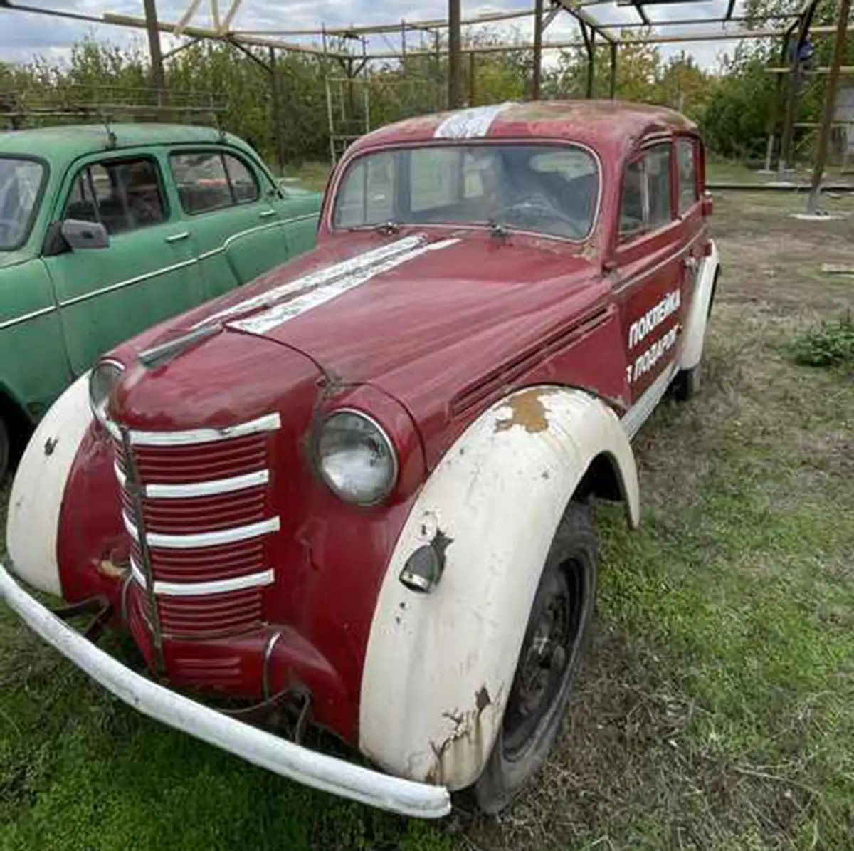 У Дніпрі виявили приватну колекцію радянських авто: десятки "Москвичів" під відкритим небом