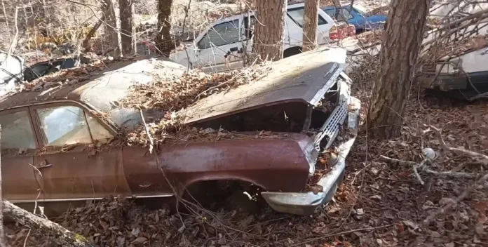 Кладовище легенд: як у Теннессі гниють Chevrolet за мільйони доларів Кладовище легенд: як у Теннессі гниють Chevrolet за мільйони доларів