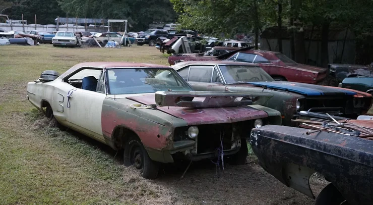 У США знайшли музей жахів із рідкісними маслкарами: понад 30 легендарних Dodge та Plymouth гниють просто неба