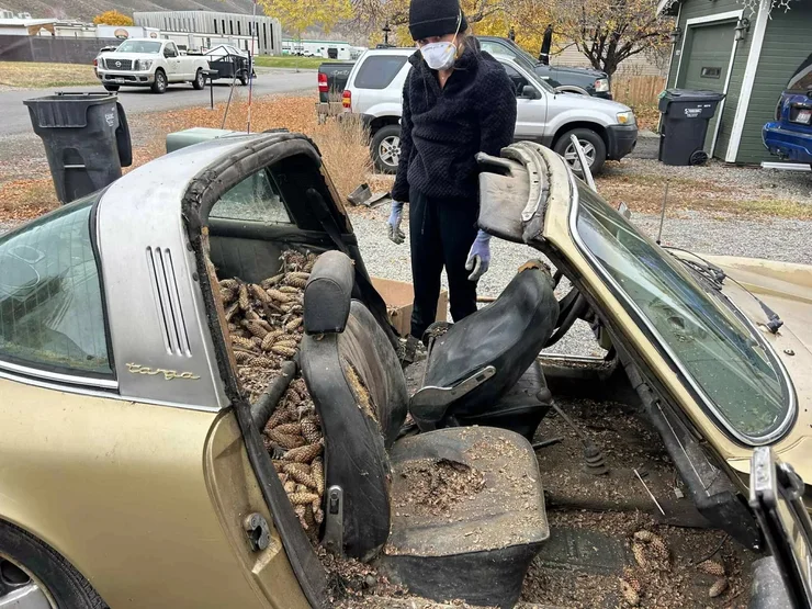 Porsche 911 пролежав 31 рік у листі: американець ризикнув врятувати легенду