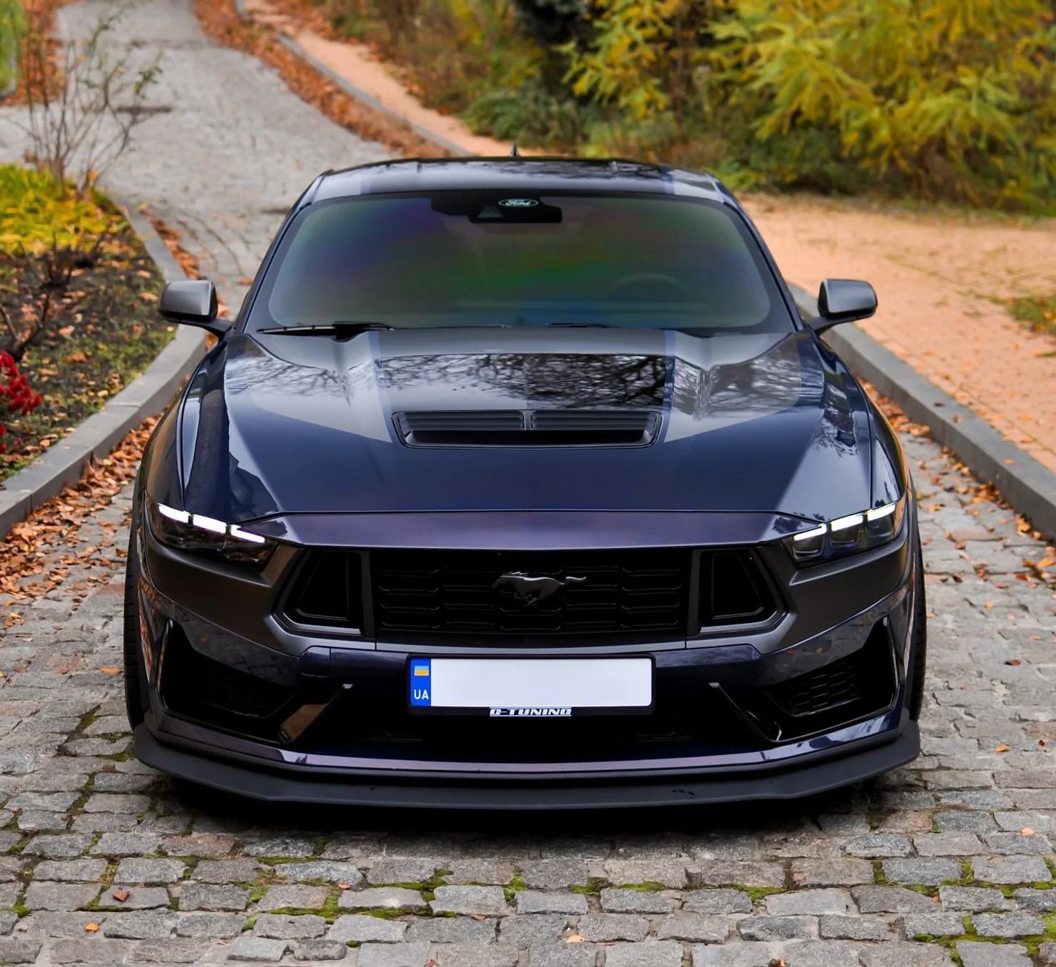 В Україну привезли Ford Mustang Dark Horse: 500-сильна "темна коняка" за ціну квартири
