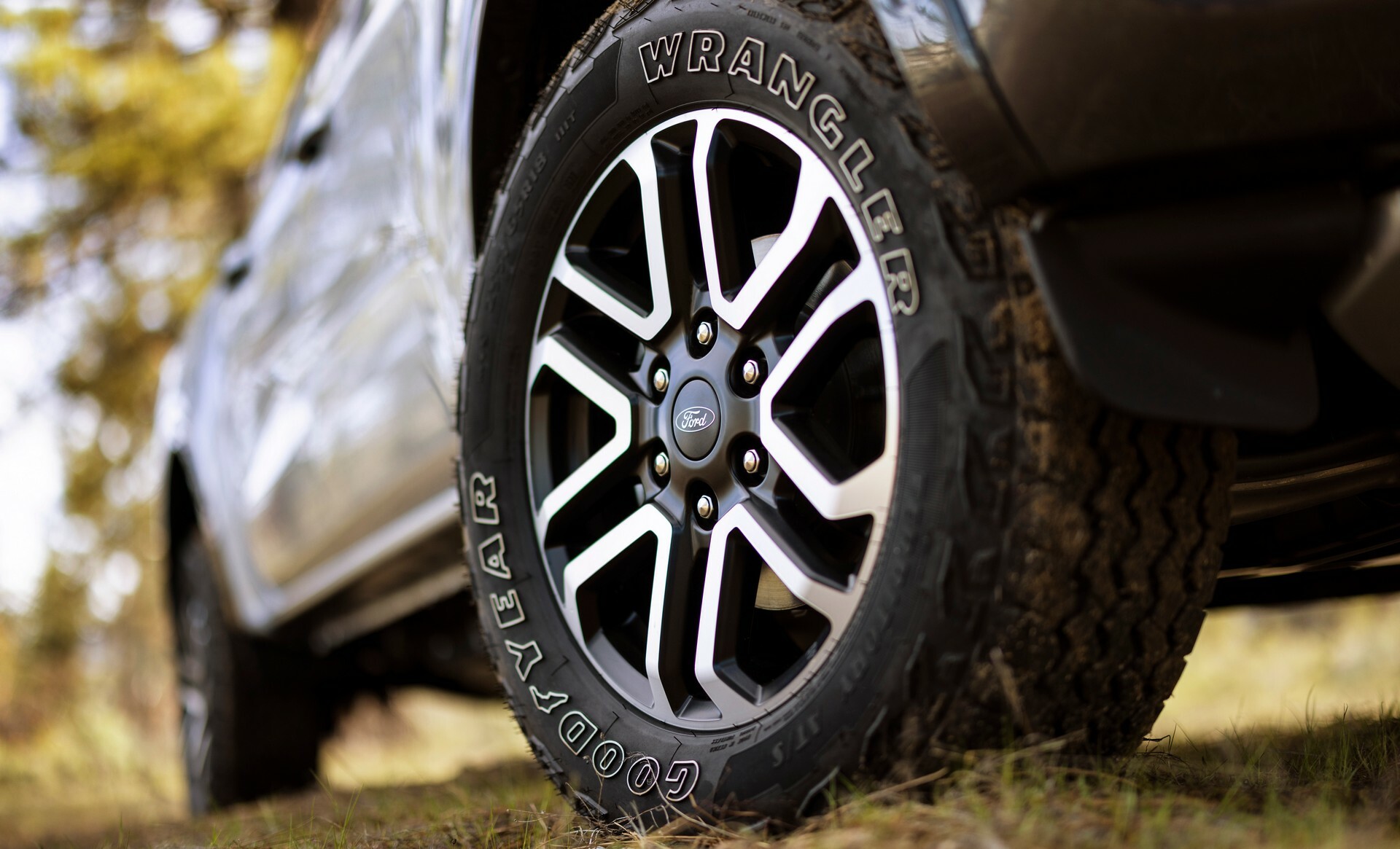 Американка отримала штрафів на $165 000 за паркування на власному газоні: суд відмовив у захисті - фото 3