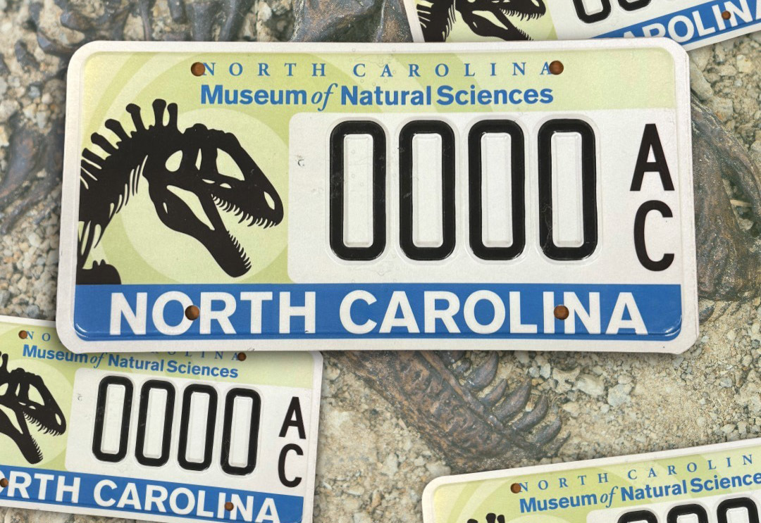 У США затвердили номерні знаки зі скелетом динозавра: виглядає справді епічно - фото 2