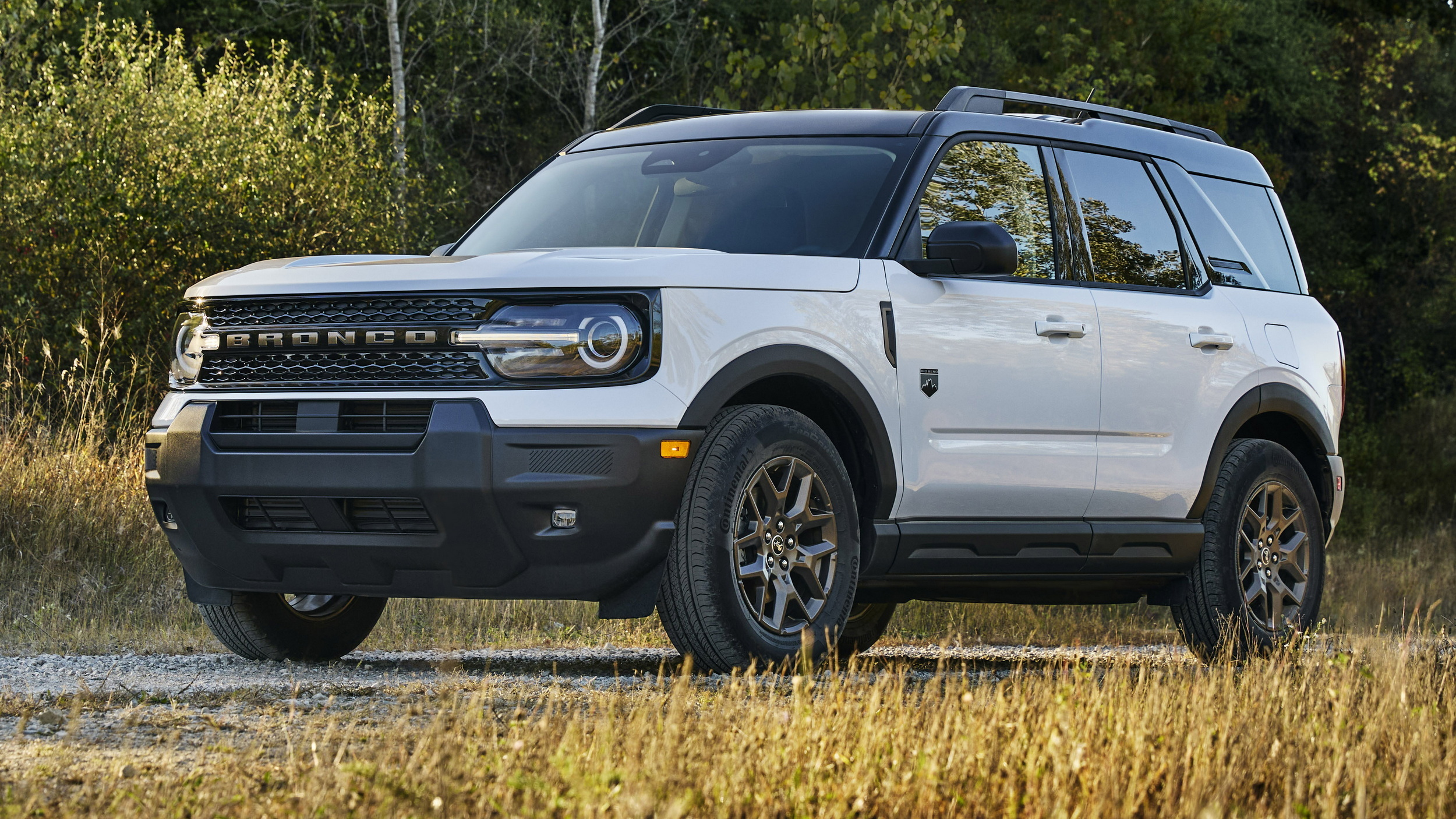 Ford б’є всі антирекорди: у 2025 році бренд відкликав більше авто, ніж 9 найближчих конкурентів разом узяті - фото 2