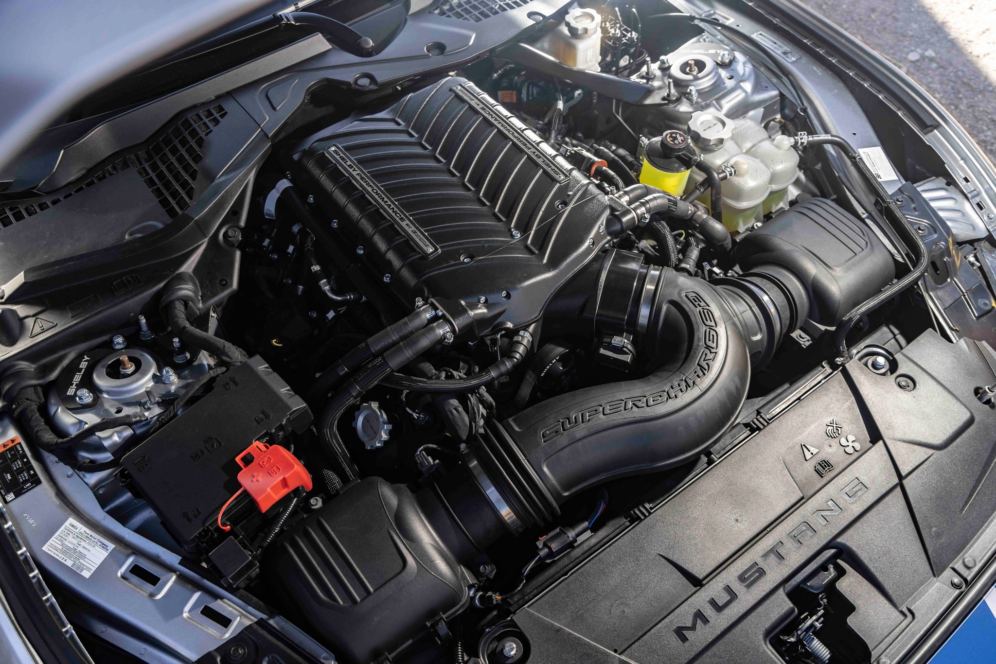 Shelby представила новий кабріолет GT350 потужністю 810 кінських сил - фото 1