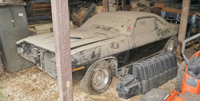 Автомобільний скарб гнив у сараї: унікальна знахідка