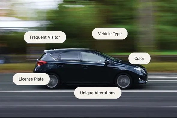 Американські водії оголосили війну камерам стеження: обладнання масово знищують - фото 1