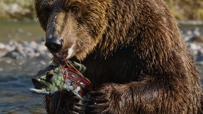 Jeep зекономив на Супербоулі, але підірвав мережу «найдивішою» рекламою нового Cherokee