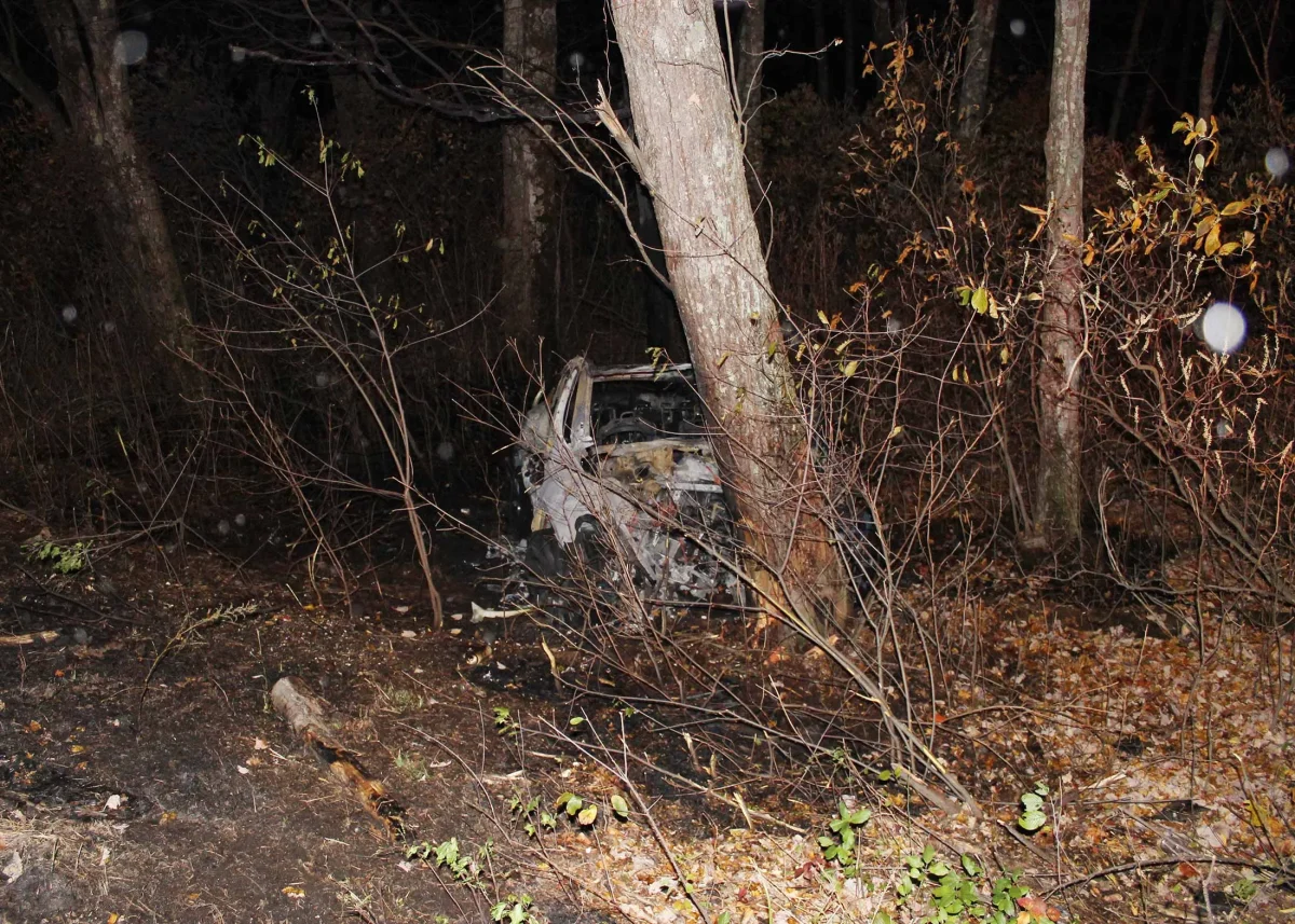 На Tesla подали до суду: водій згорів живцем у Model Y через заблоковані двері - фото 1