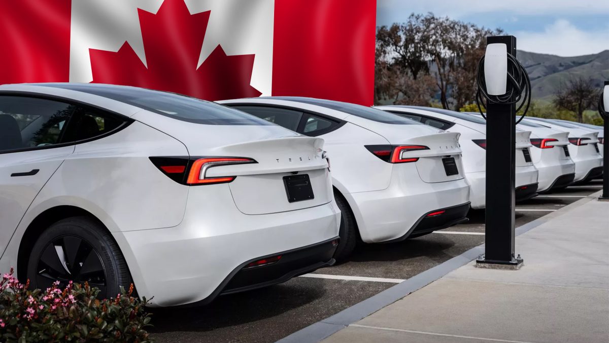 Tesla раптово прибрала запаси Model 3 у Канаді: компанія готує повернення китайських електрокарів? - фото 3